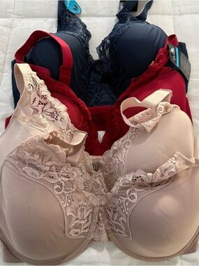 Bundle - Classic Lace T-Shirt Bra – Beige, Tan, Red, Navy (4)